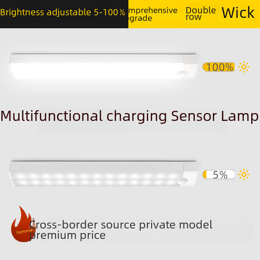 LED Closet Light with Motion Sensor and USB Charging
