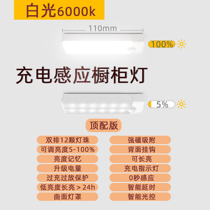 LED Closet Light with Motion Sensor and USB Charging